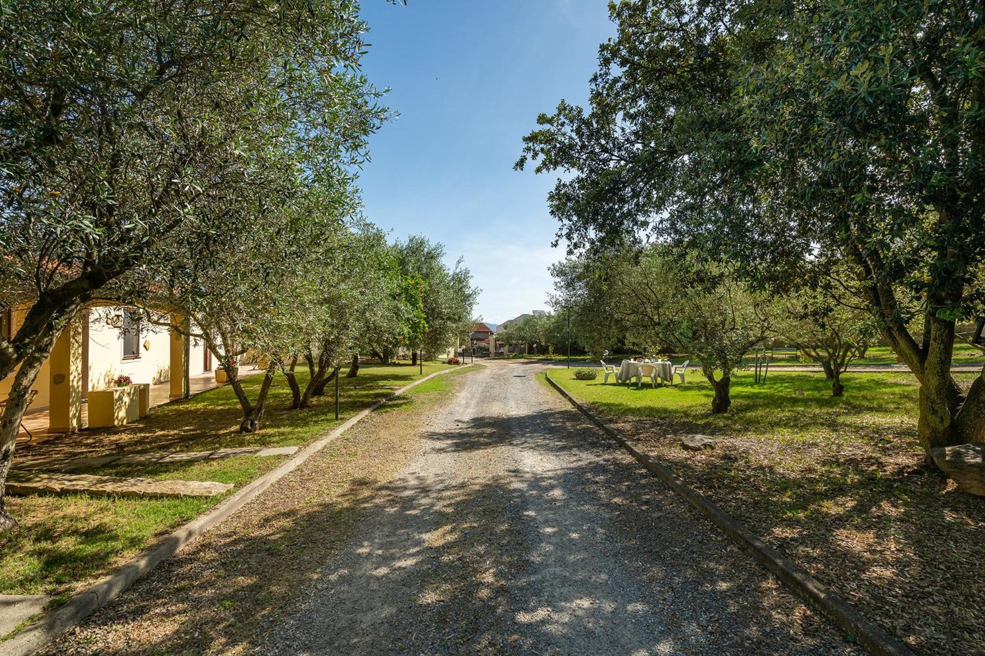 Residenza Parco Degli Ulivi Villa Villamassargia ภายนอก รูปภาพ
